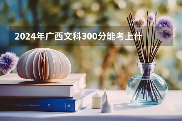 2024年广西文科300分能考上什么大学？