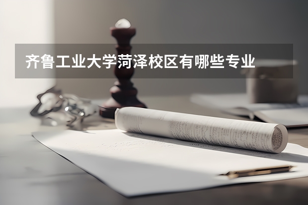 齐鲁工业大学菏泽校区有哪些专业