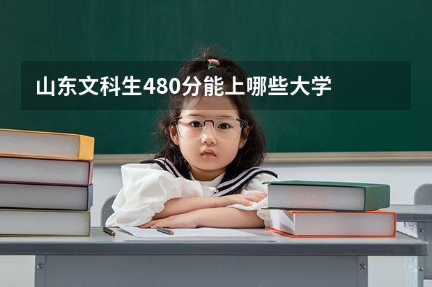 山东文科生480分能上哪些大学