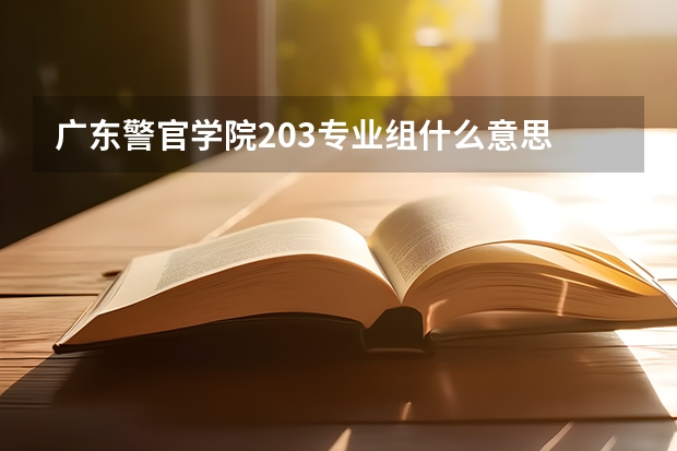 广东警官学院203专业组什么意思