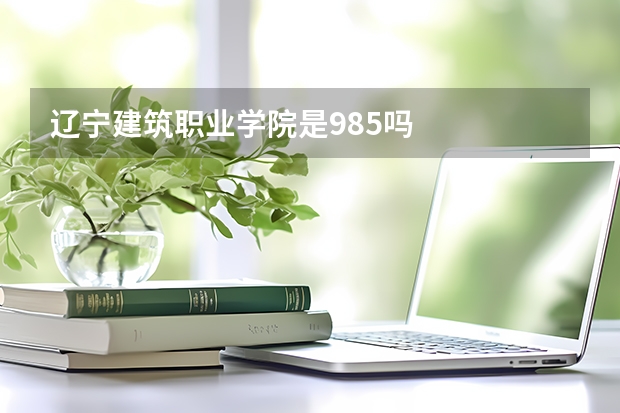 辽宁建筑职业学院是985吗