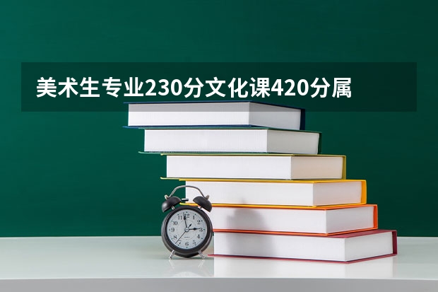 美术生专业230分文化课420分属于哪个档次，能上什么大学呢？