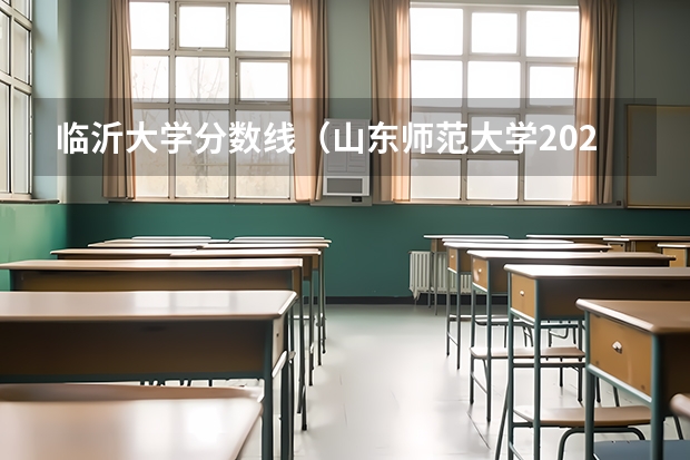 临沂大学分数线（山东师范大学2023分数线）