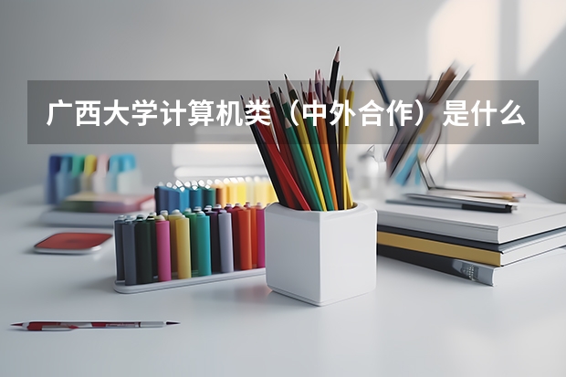 广西大学计算机类（中外合作）是什么，填志愿