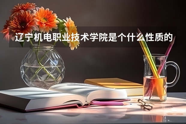 辽宁机电职业技术学院是个什么性质的学校！