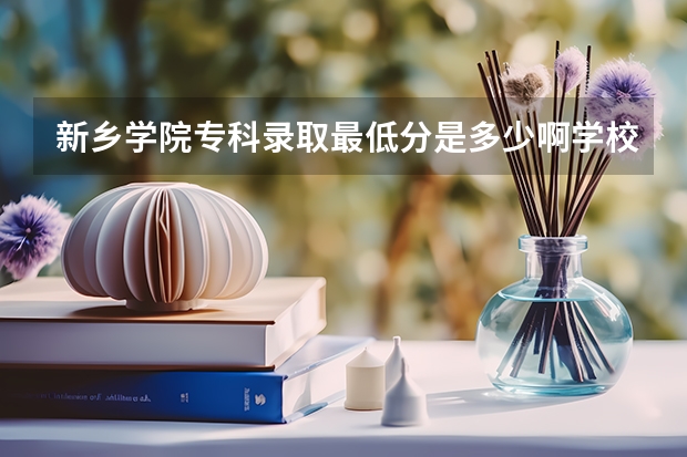 新乡学院专科录取最低分是多少啊..学校杂样？