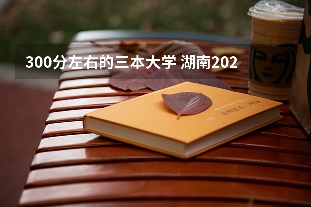 300分左右的三本大学 湖南2023年三本大学排名及录取分数线