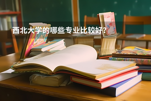 西北大学的哪些专业比较好？