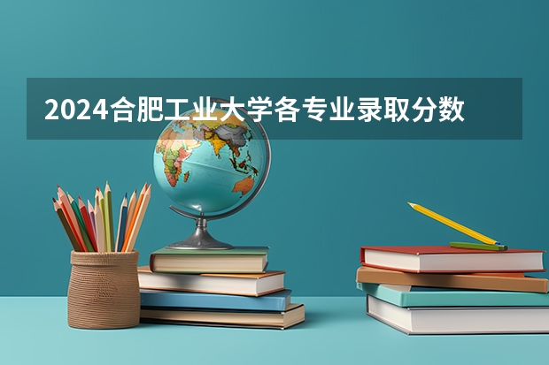 2024合肥工业大学各专业录取分数线（2024四川信息职业技术学院各专业录取分数线）