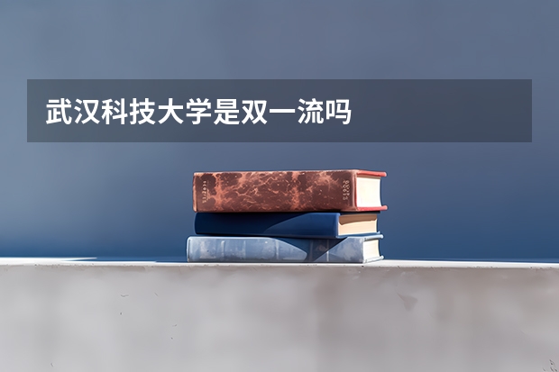 武汉科技大学是双一流吗