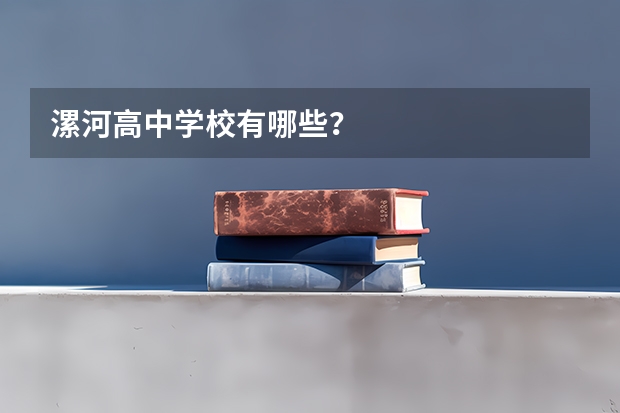 漯河高中学校有哪些？