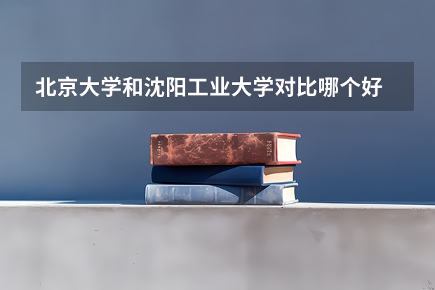 北京大学和沈阳工业大学对比哪个好