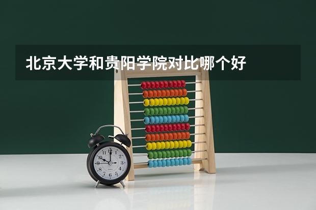 北京大学和贵阳学院对比哪个好