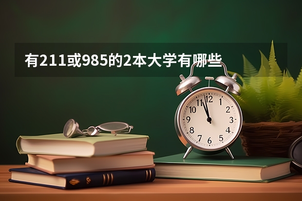 有211或985的2本大学有哪些