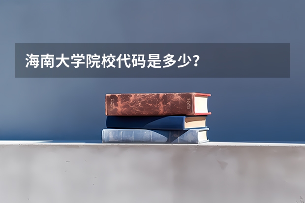 海南大学院校代码是多少？