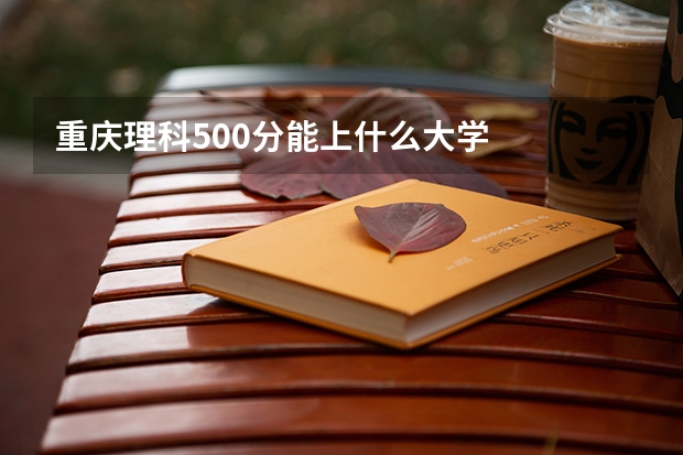 重庆理科500分能上什么大学