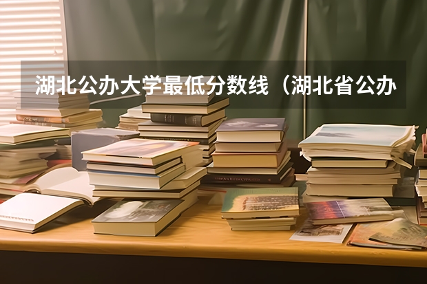 湖北公办大学最低分数线（湖北省公办二本排名及分数线）