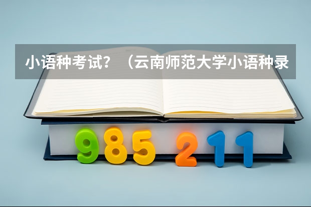 小语种考试？（云南师范大学小语种录取分数线）