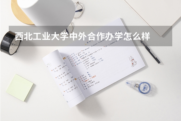 西北工业大学中外合作办学怎么样