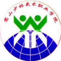 嵩山少林武术职业学院LOGO